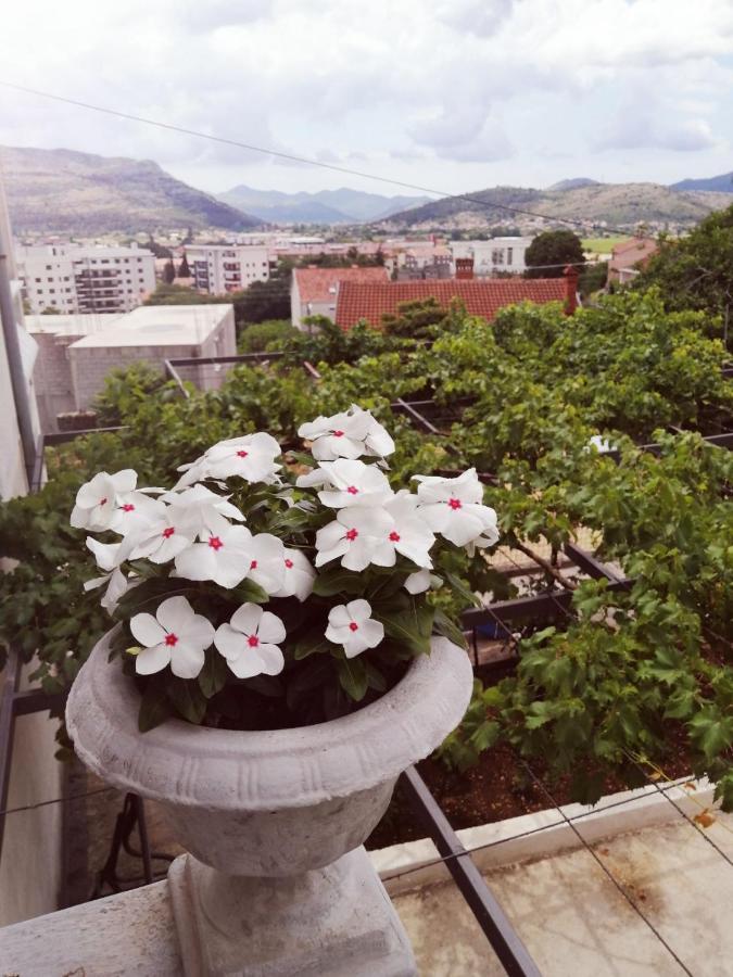 Nemanja Apartment Trebinje Luaran gambar